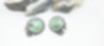 20210408_124129_edited.jpg