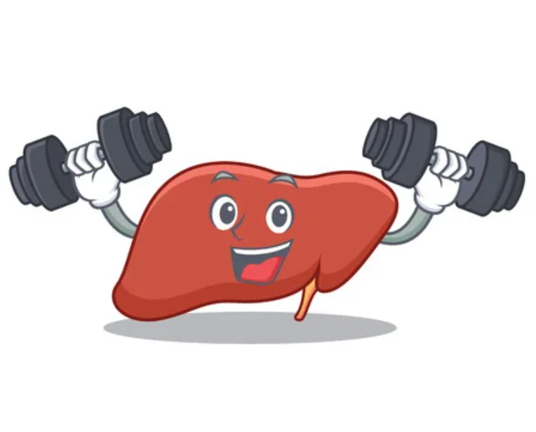 QUELQUES RÈGLES POUR SOUTENIR ET RÉGÉNÉRER VOTRE FOIE