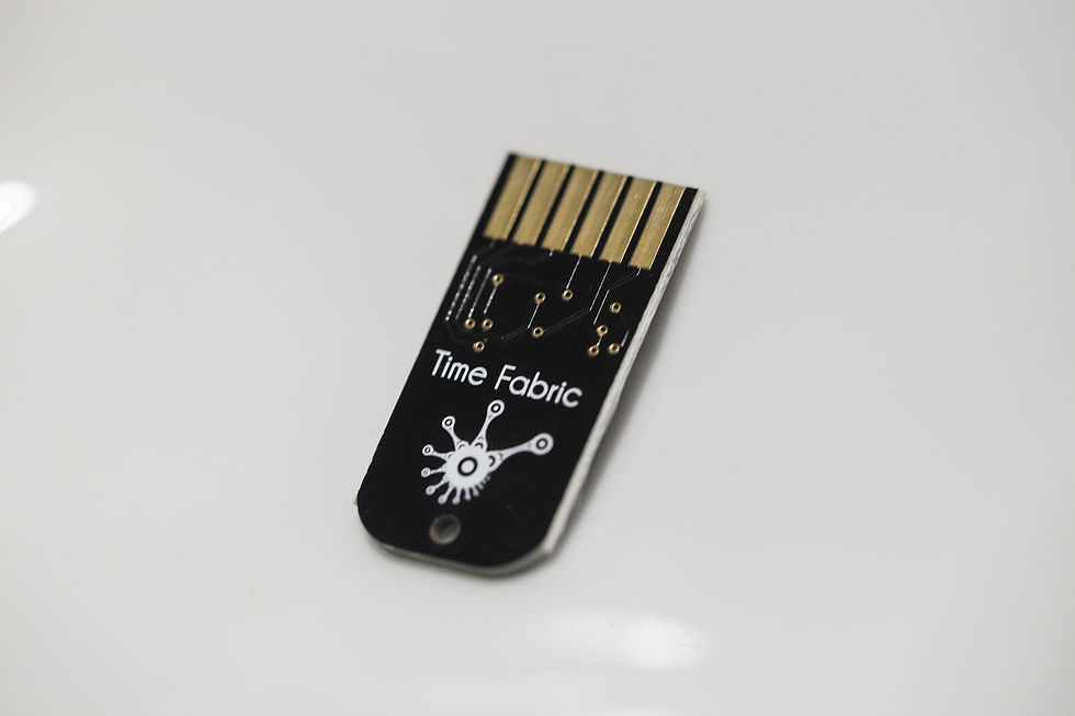 תמונה ממוזערת: Time Fabric Cartrige For Z-Dsp