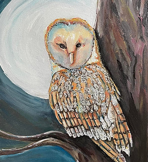 barn own moonlingt who knows.jpg