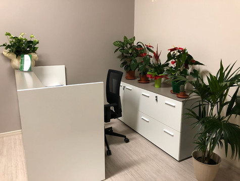 kinesiterapia