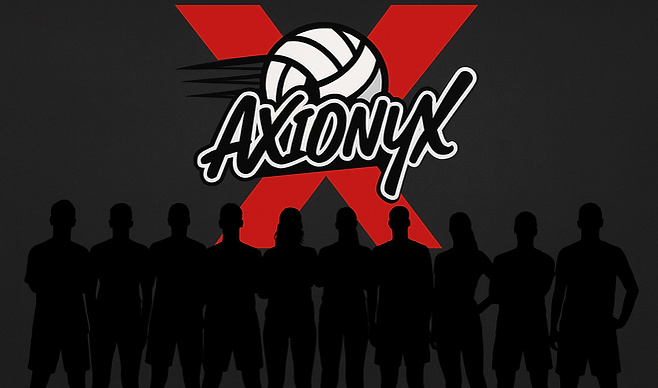 pngtree-the-volleyball-player-team-silhouette-png-png-image_14564928.png