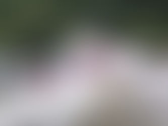 Rafting Adventures Close to Tokyo