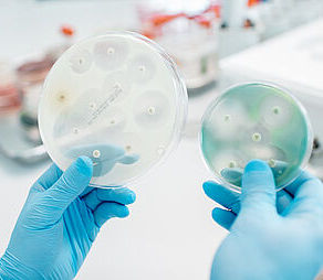 Studien zeigen: Die Antibiotika-Resistenz vieler Keime ist viel verbreiteter als bisher angenommen