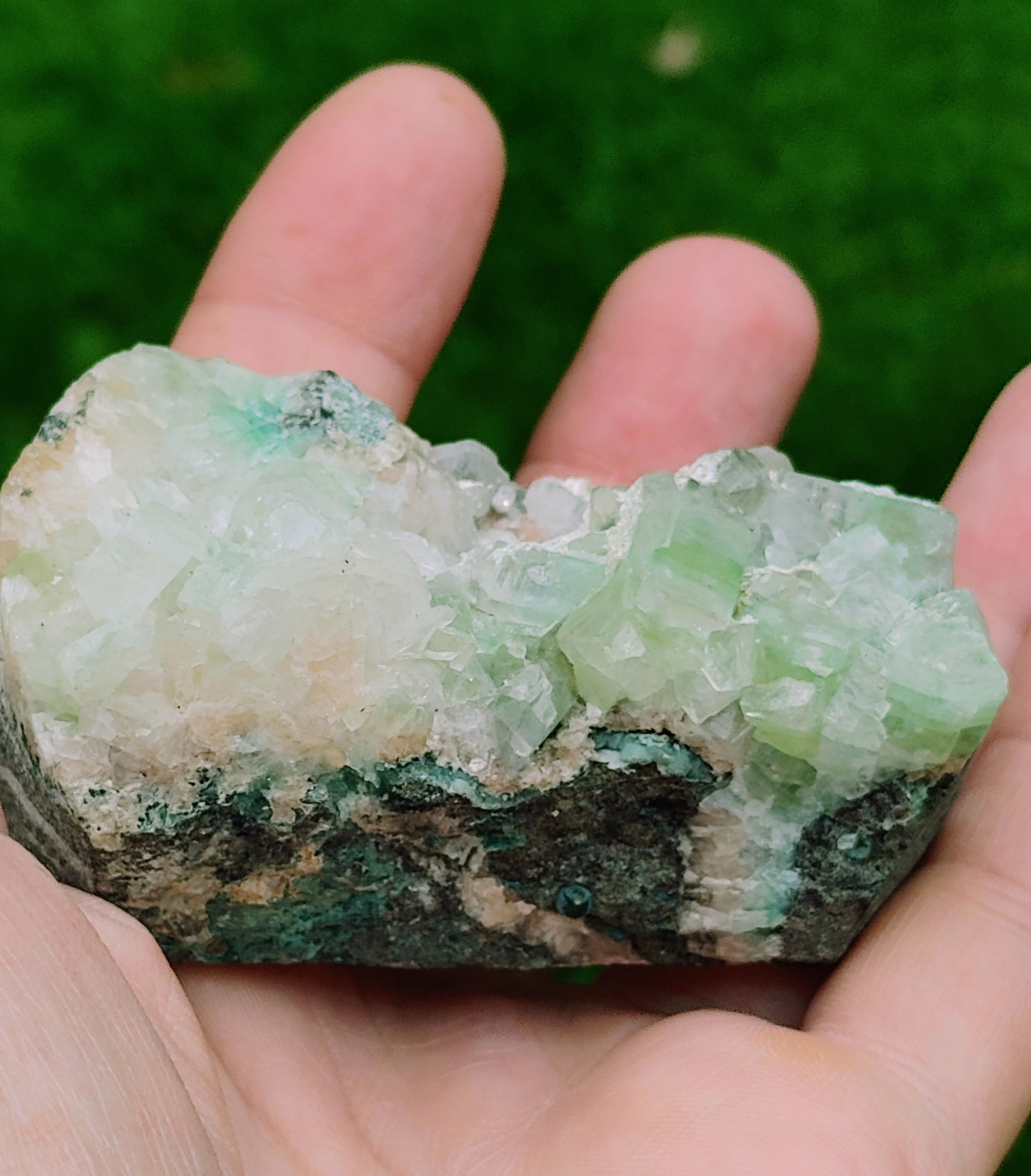 Green Apophylite Cubed Gem Specimen (India) Dolmen Ignited