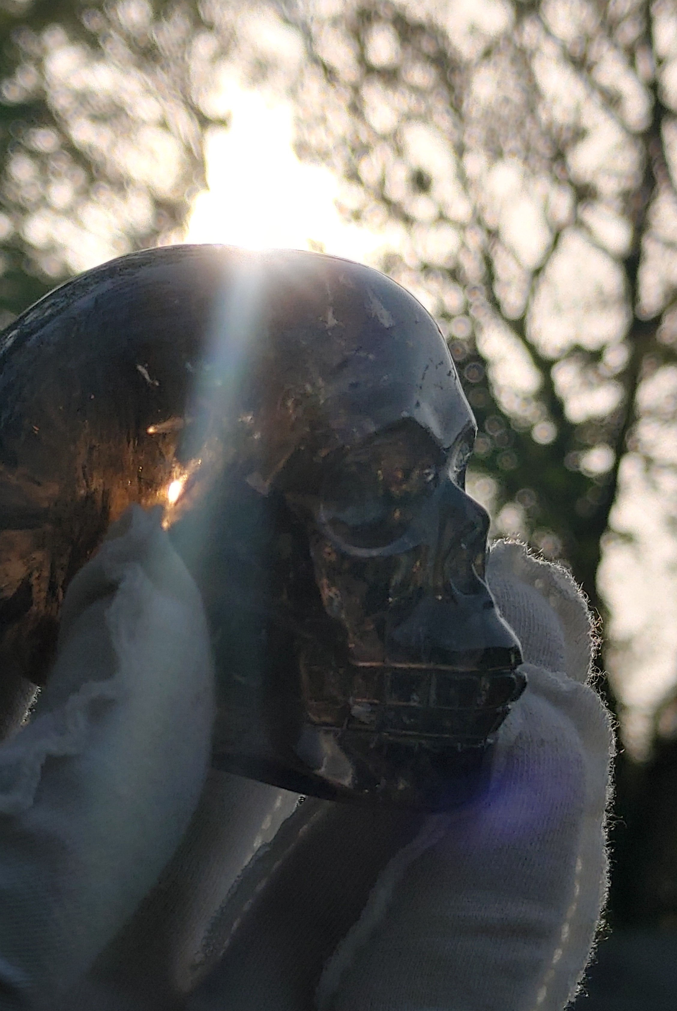 " Zorya" Himalayan Smokey Rainbow Quartz Gem Skull 2025 Limited Edition