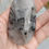 Thumbnail: AAA Reticulated Black Tourmaline Quartz Large Palm-stone 5.40 oz 432hz Imprint 