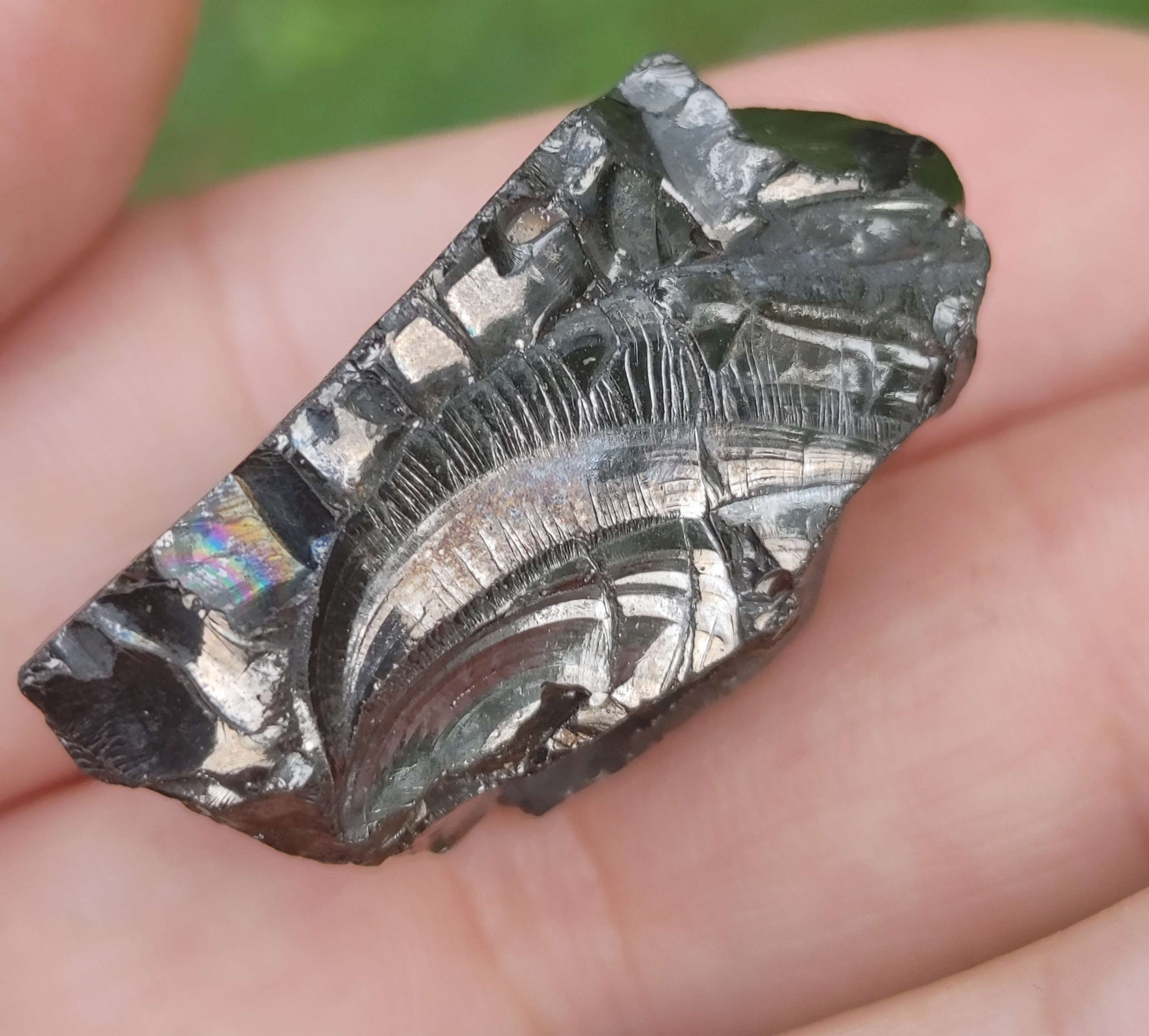 XXL AAA Collector Grade Elite Noble Shungite Stone