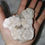 Thumbnail: Deal of Day Highest Quality Flower Agate Free Form 6.91 oz 