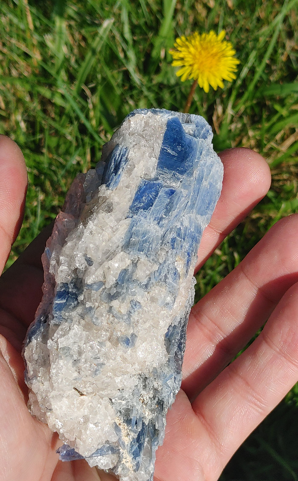 Thumbnail: Blue Kyanite / Quartz Large Specimen Dolmen Imprint (10.55 oz)