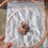 Thumbnail: Copper Tensor Royal Cubit XXL Light Ring-Selenite -Shungite-Herkimer 