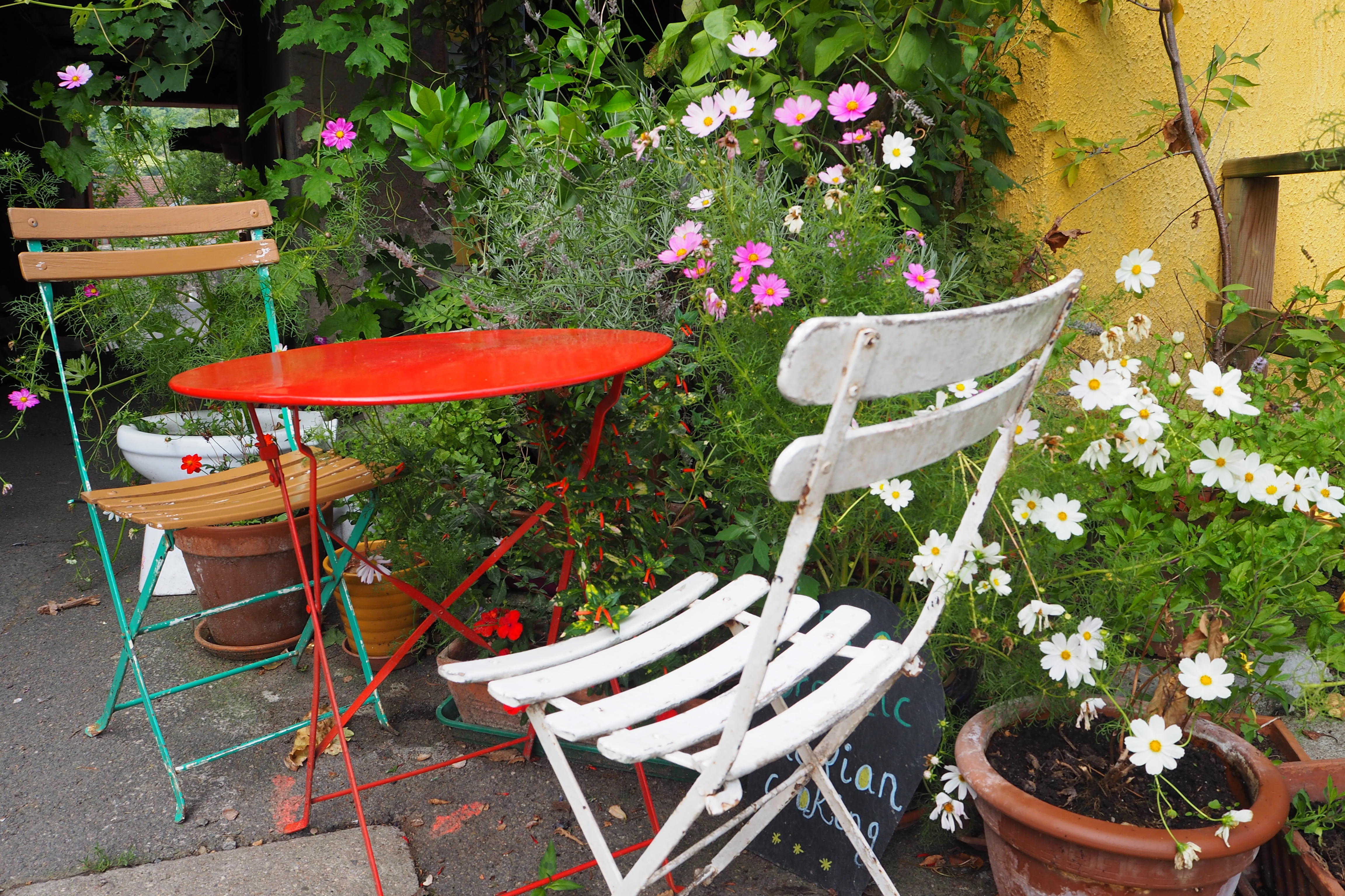 Gîte Bio La Vita É Bella photo 2