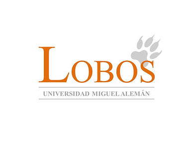 universidad miguel aleman