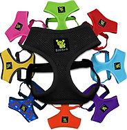 harness.jpg