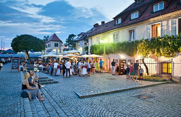 maribor_stara-trta 2.jpg