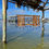 Thumbnail: Lobster Trap 24