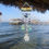 Thumbnail: Glistening 3 Mermaid Scales