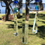 Thumbnail: Blue Glistening 3 Pyramids