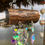 Thumbnail: Glistening 5 Colonials