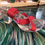 Thumbnail: Dazzling Tootsie Shoes