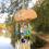 Thumbnail: Natural 7 Suncatching Windchime 
