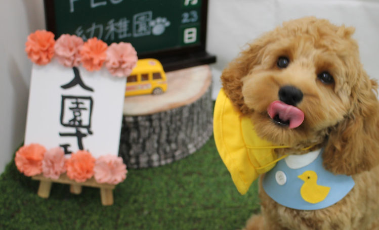 ソウスケくん (9).JPG