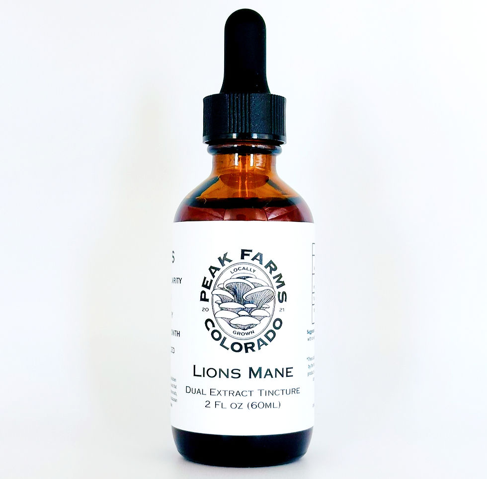 Lion's Mane Tincture