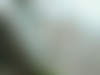Top Garden Birds - RSPB Big Garden Birdwatch