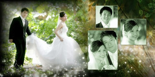 ALBUM WEDDING VOL 42