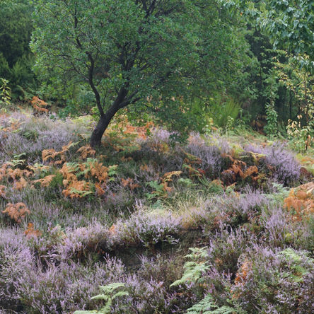 Natuurreis door Europa; roadtrip door het centraal massief in Zuid-Frankrijk