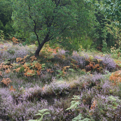 Natuurreis door Europa; roadtrip door het centraal massief in Zuid-Frankrijk