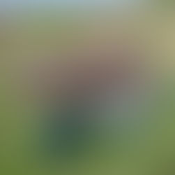 De voorjaarsbeurt; Get the job done in 3 eenvoudige stappen