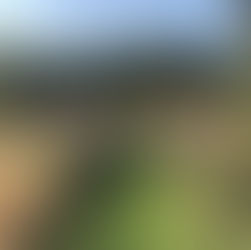 De mooiste tuin waar ik ooit ben geweest