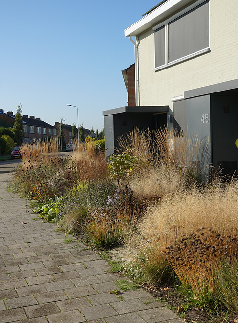studio linda lavoir, beplantingsplan, piet oudolf stijl, tuinarchitect nederland, exclusieve tuinen, groene tuinen, ontwerper beplantingsplan, tuinontwerper rotterdam, tuinarchitect rotterdam, gezamelijke voortuin, ecologische tuinontwerper