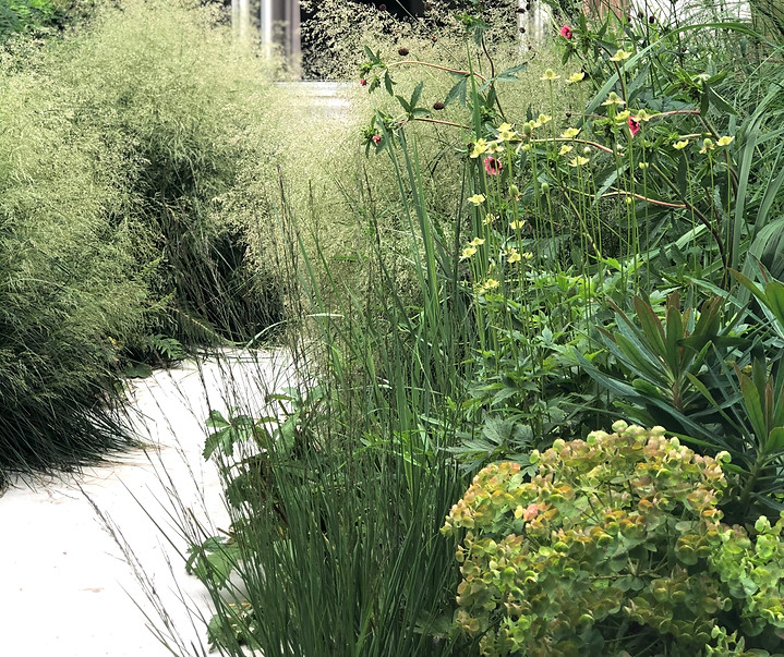 Tuinarchitect Rotterdam, Tuinontwerper Rotterdam, Tuinarchitect Zeeuws Vlaanderen, Tuinarchitect Zeeland, ecologische tuinontwerper, Ecologische tuinarchitect, natuurlijke beplantingsplannen, Insectvriendelijke tuin