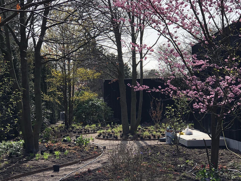 Bostuin, woodland garden