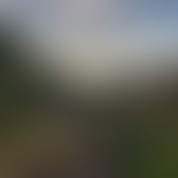 La isla bonita, La Palma