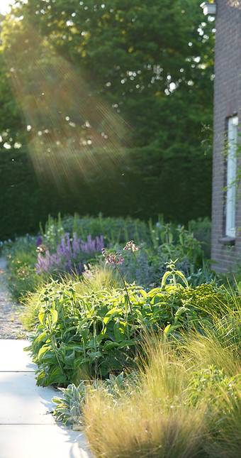 Studio Linda Lavoir,exclusieve tuinen , ontwerpt ecologische, natuurinclusieve tuinen en landschappelijke tuinen in Rotterdam en de rest van nederland. Met een scherp oog voor natuurlijke beplantingsplannen, moderne vormgeving en de balans tussen mens en natuur creëren we unieke daktuinen, privétuinen en publieke groene ruimtes. Laat je inspireren door ons exclusieve tuinproject en ontdek de filosofie achter het Dutch Wave tuinontwerp. Tuinontwerpen Zeeland,Studio Linda Lavoir designs ecological, nature-inclusive gardens and landscaped gardens in Rotterdam and the rest of the Netherlands. With a keen eye for natural planting schemes, modern design, and the balance between man and nature, we create unique roof gardens, private gardens, and public green spaces. Be inspired by our exclusive garden project and discover the philosophy behind Dutch Wave garden design. Garden designs Zeeland, exclusive gardens