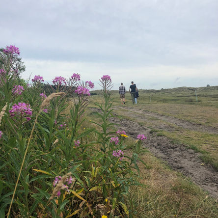 Wooohhh, we're going to Terschelling!