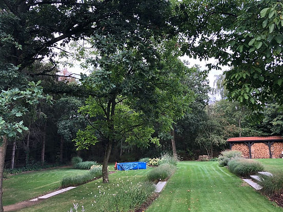 tuinarchitect regio Rotterdam, tuinarchitect regio zeeland, tuinarchitect met plantenkennis, ecologische tuinarchitect, tuinarchitect met een piet oudolf stijl, plantenkennis, beplantingsplannen, vaste planten en siergrassen, de landschappelijke tuin, tuinontwerp in schoondijke, studio linda lavoir
