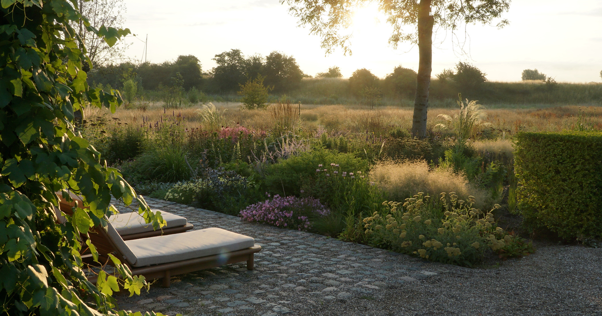 Studio Linda Lavoir,exclusieve tuinen , ontwerpt ecologische, natuurinclusieve tuinen en landschappelijke tuinen in Rotterdam en de rest van nederland. Met een scherp oog voor natuurlijke beplantingsplannen, moderne vormgeving en de balans tussen mens en natuur creëren we unieke daktuinen, privétuinen en publieke groene ruimtes. Laat je inspireren door ons exclusieve tuinproject en ontdek de filosofie achter het Dutch Wave tuinontwerp. Tuinontwerpen Zeeland,Studio Linda Lavoir designs ecological, nature-inclusive gardens and landscaped gardens in Rotterdam and the rest of the Netherlands. With a keen eye for natural planting schemes, modern design, and the balance between man and nature, we create unique roof gardens, private gardens, and public green spaces. Be inspired by our exclusive garden project and discover the philosophy behind Dutch Wave garden design. Garden designs Zeeland, exclusive gardens