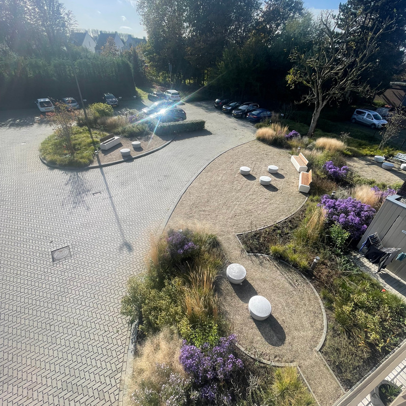 Tuinarchitect uit de regio Rotterdam, Studio Linda Lavoir, ontwerp een ecologische, moderne tuin, Tuinarchitect Zeeland, Tuinontwerper Rotterdam, ontwerp van de ecologische tuin, beplantingplannen, Groene tuin, vier seizoenen tuin, bedrijfstuin, groene bedrijfstuin, landschappelijke tuin, moderne maatschappelijke tuin, vaste planten, borders, ecologische architect, tuinarchitect zeeuws vlaanderen, exclusieve tuinen, landschapsarchitect met groene kennis