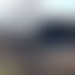 Samenwerking met Piet Oudolf deel 2