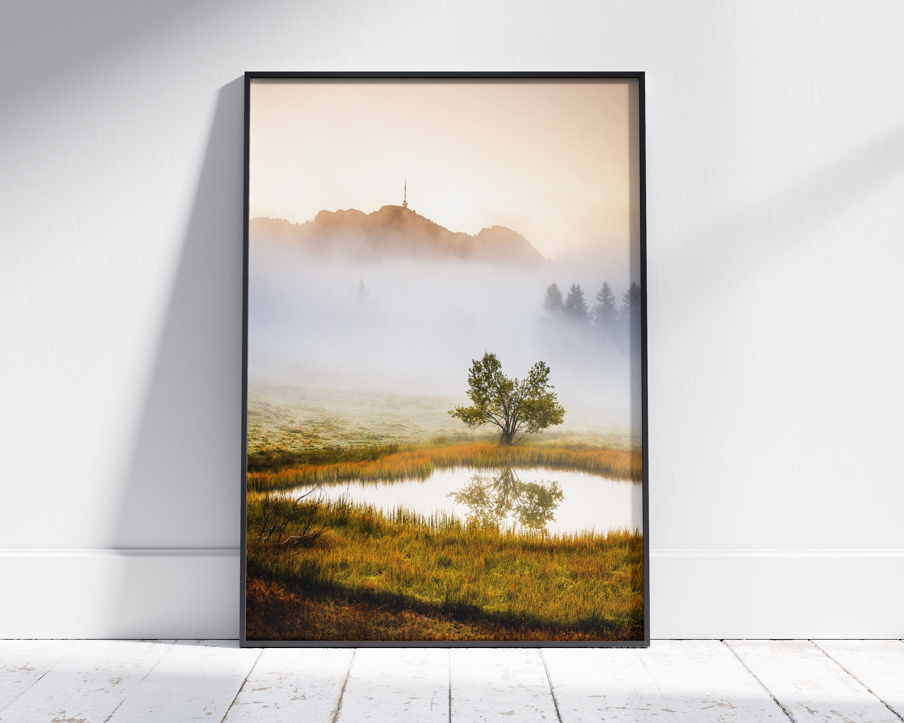 Niederhorn Moor Spiegelung