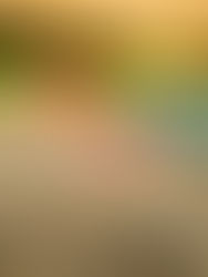 Neue Bildsprache für Schaffner AG - Outdoor Produktfotografie