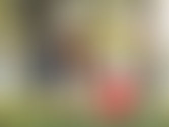 Understanding Exercise Limitations: Train Smart, Not Just Hard