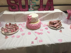 13537756_512687255583120_839316863553265