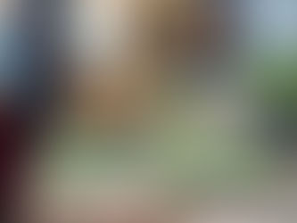 Démocratiser le bio dans les quartiers