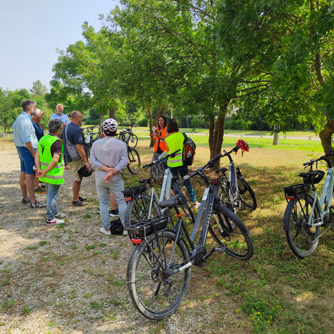 Séminaire Nature en ville du Grand Avignon : retour en images !