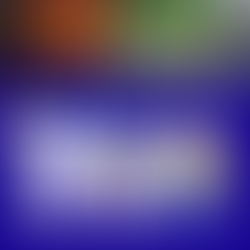 Résilience : Trois jours pour renforcer la culture du risque